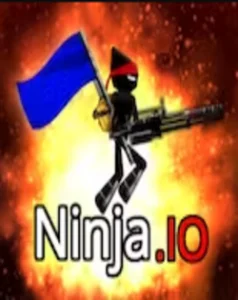 Ninja io