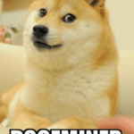 Dogeminer