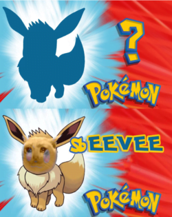 Who's That Pokémon