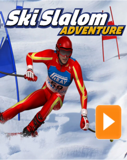 Ski Slalom