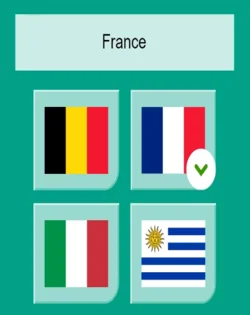 Tactic Flags of The World Family Card Game - Educational & Fun - Play &  Learn About Flags, Nations & Geography