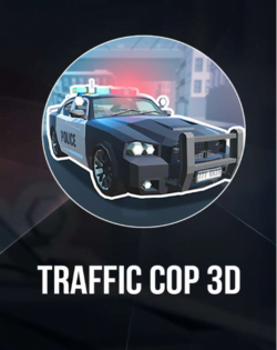 Traffic Cop 3D