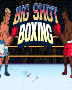 Big Shot Boxing - Learning to Box is like building a house. Once