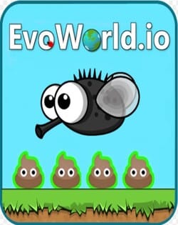 EvoWorld.io